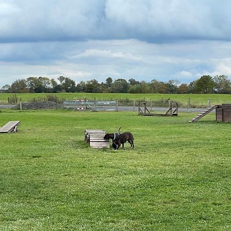 Gulfhaus Alte Meesterei Manslagt Bagian luar foto