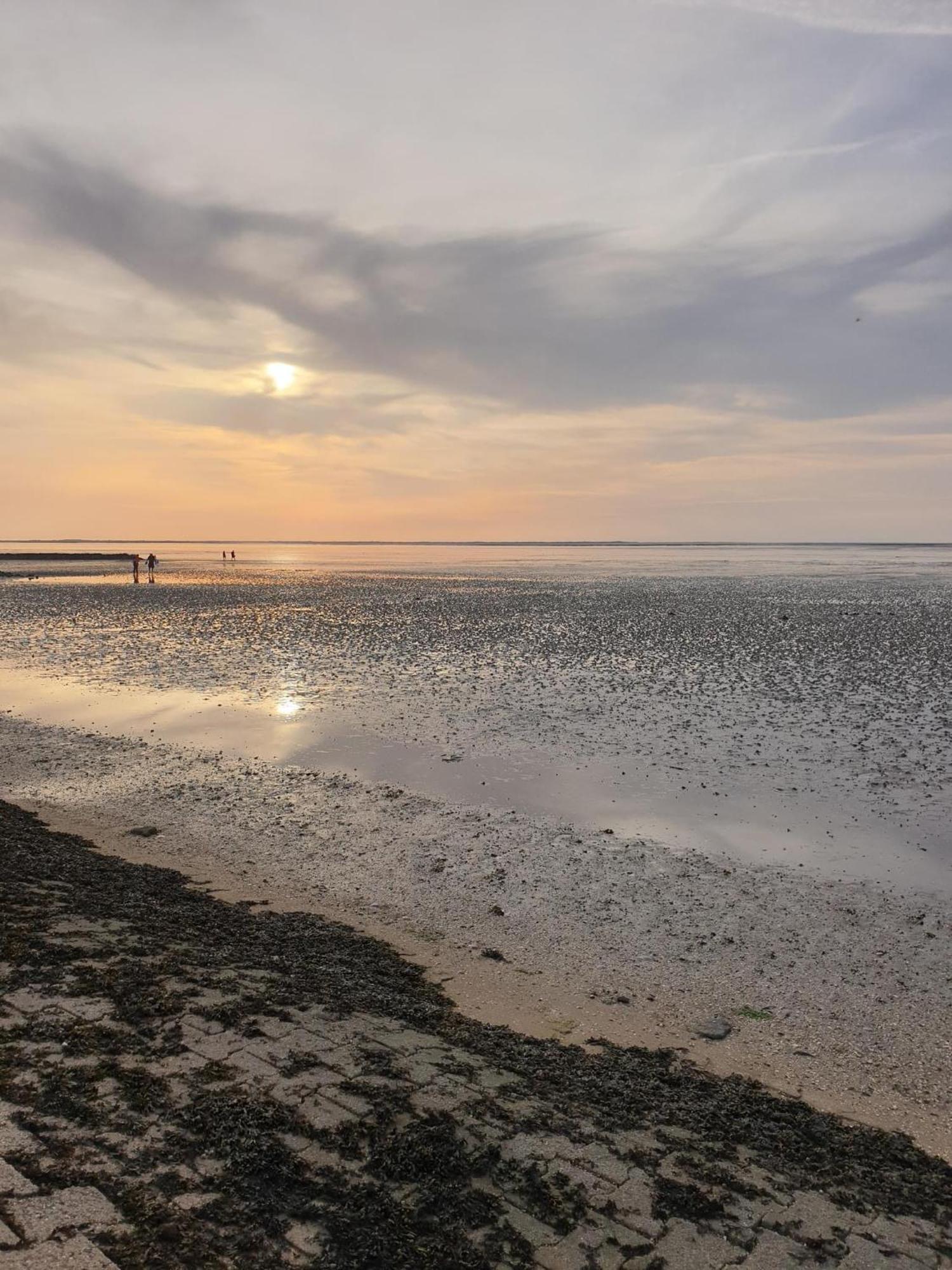 Gulfhaus Alte Meesterei Manslagt Bagian luar foto