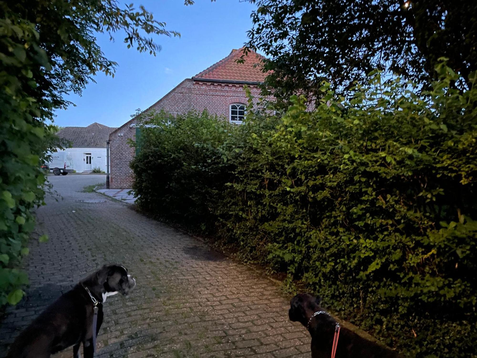Gulfhaus Alte Meesterei Manslagt Bagian luar foto