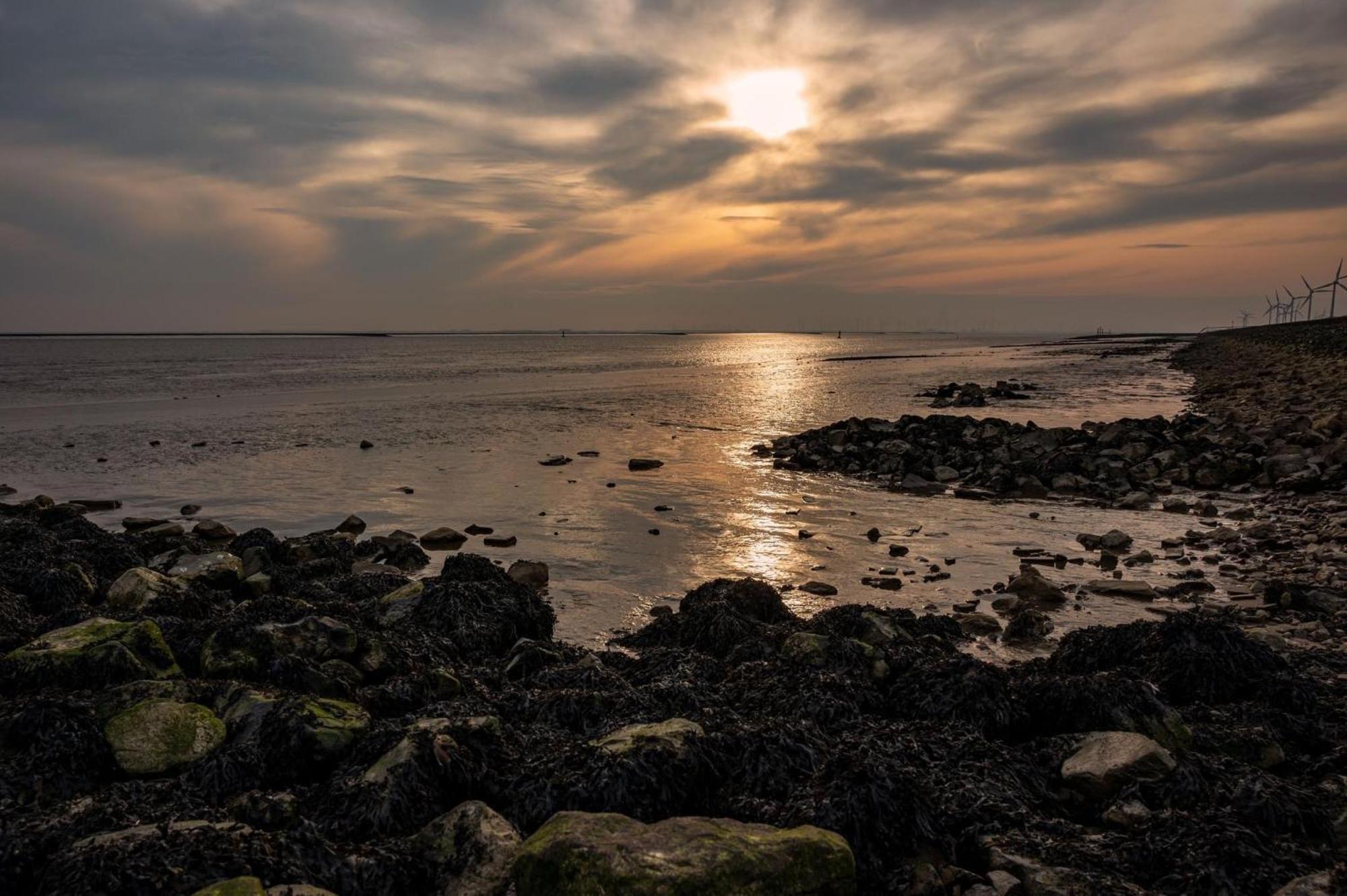 Gulfhaus Alte Meesterei Manslagt Bagian luar foto